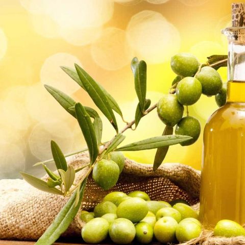 #104 Zeytin Yağı Lt